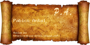 Pabics Antal névjegykártya
